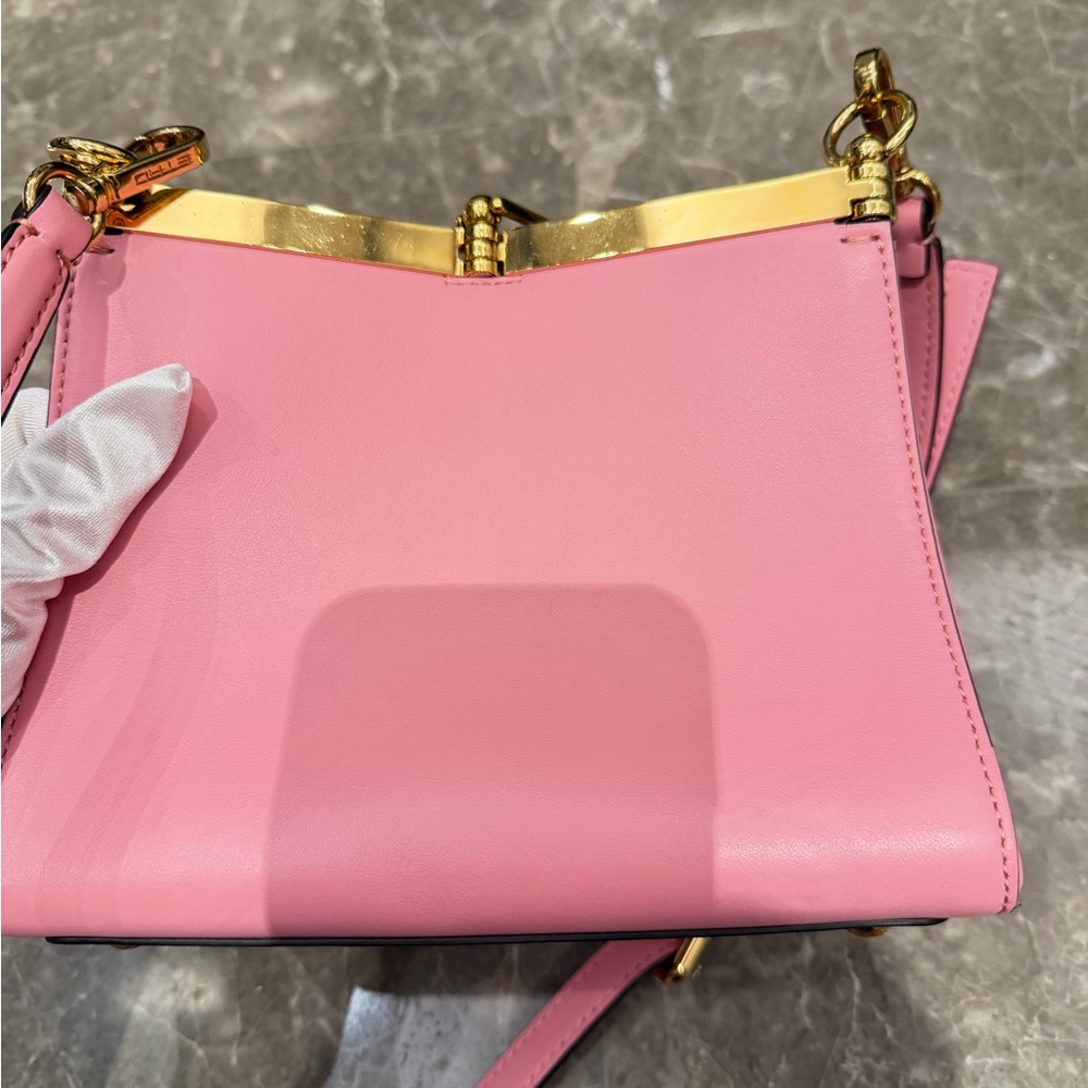 Etro Pink Leather Shoulder Bag with Gold-Tone Trim - Picture 10 of 15